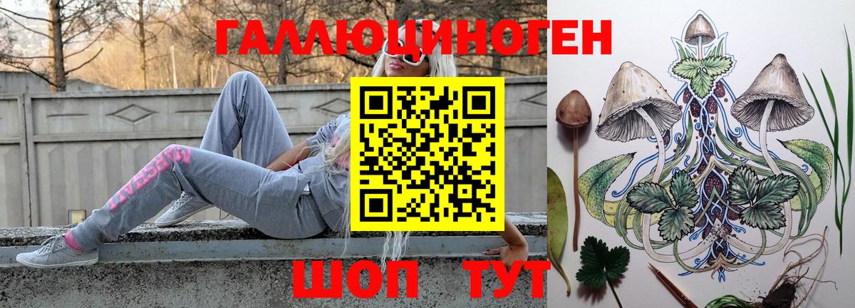 Псилоцибиновые грибы прущие грибы  Галлюциногенные грибы Psilocybine cubensis  Вход с VPN  Петропавловск-Камчатский 